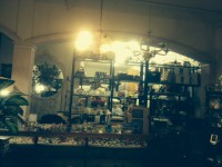 /album/galleria-foto-galleria/foto-1-10-jpg/